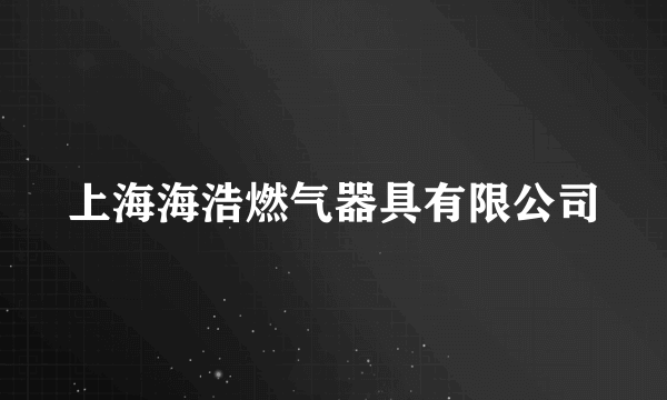 上海海浩燃气器具有限公司