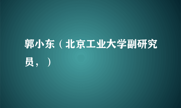 郭小东（北京工业大学副研究员，）