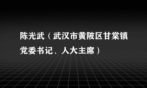 陈光武（武汉市黄陂区甘棠镇党委书记、人大主席）