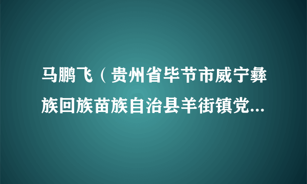 马鹏飞（贵州省毕节市威宁彝族回族苗族自治县羊街镇党委委员、纪委书记）