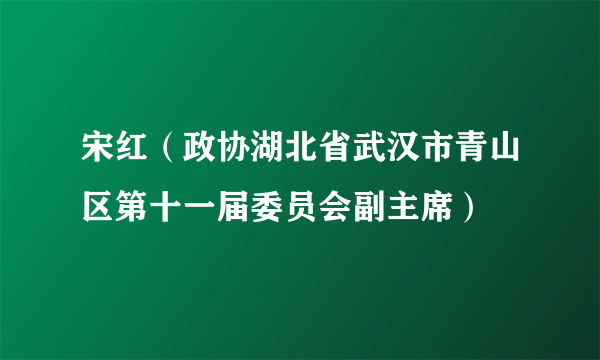 宋红（政协湖北省武汉市青山区第十一届委员会副主席）