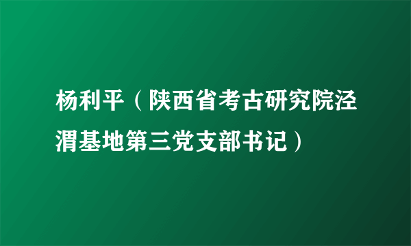 杨利平（陕西省考古研究院泾渭基地第三党支部书记）