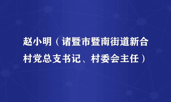 赵小明（诸暨市暨南街道新合村党总支书记、村委会主任）