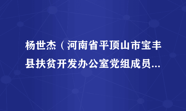 杨世杰（河南省平顶山市宝丰县扶贫开发办公室党组成员、副主任）