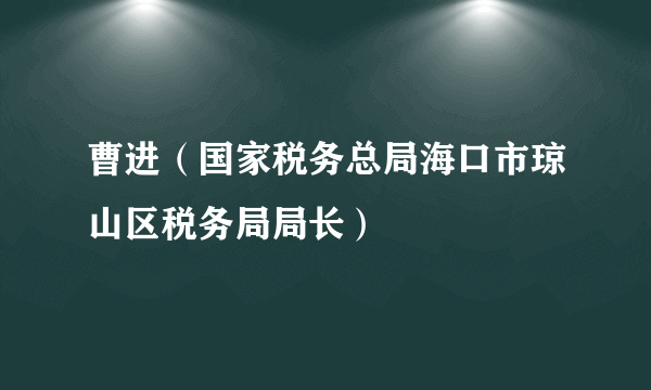 曹进（国家税务总局海口市琼山区税务局局长）