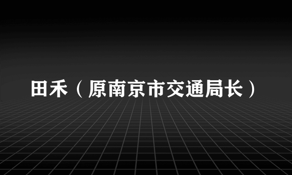 田禾（原南京市交通局长）