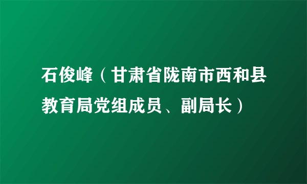 石俊峰（甘肃省陇南市西和县教育局党组成员、副局长）