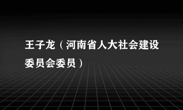 王子龙（河南省人大社会建设委员会委员）