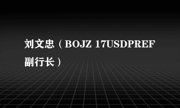 刘文忠（BOJZ 17USDPREF副行长）