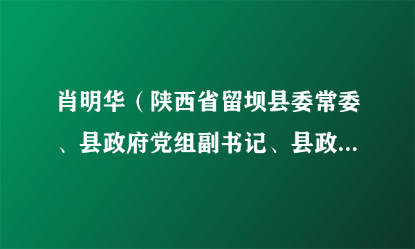 肖明华（陕西省留坝县委常委、县政府党组副书记、县政府常务副县长）