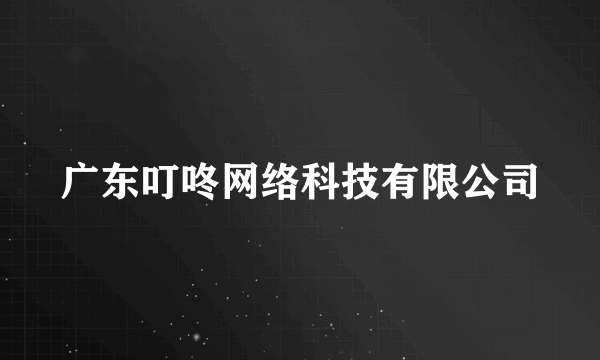 广东叮咚网络科技有限公司