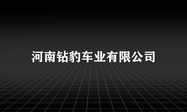 河南钻豹车业有限公司