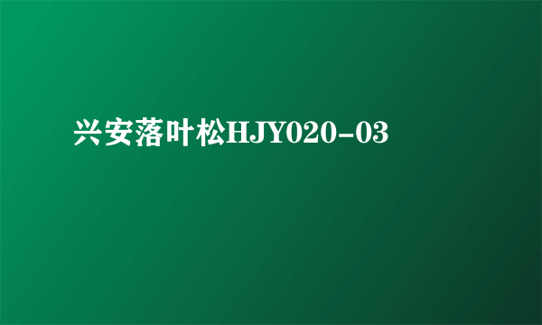 兴安落叶松HJY020-03