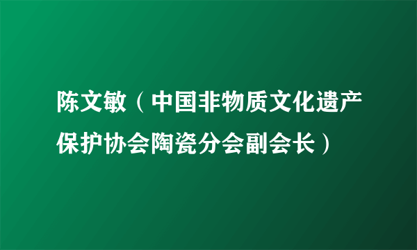 陈文敏（中国非物质文化遗产保护协会陶瓷分会副会长）