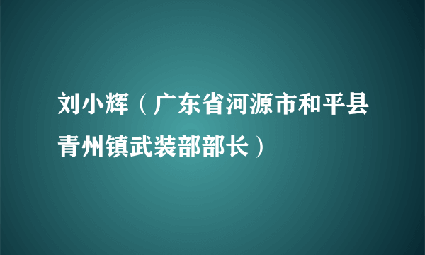 刘小辉（广东省河源市和平县青州镇武装部部长）