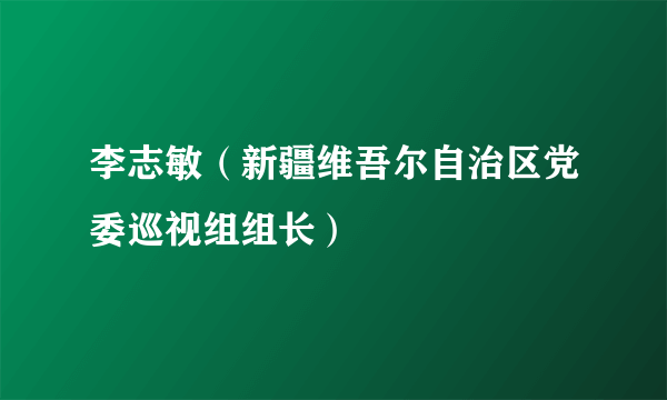 李志敏（新疆维吾尔自治区党委巡视组组长）