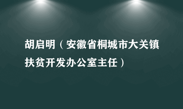 胡启明（安徽省桐城市大关镇扶贫开发办公室主任）