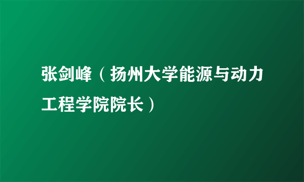 张剑峰（扬州大学能源与动力工程学院院长）