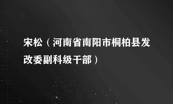 宋松（河南省南阳市桐柏县发改委副科级干部）