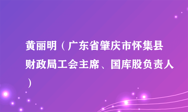 黄丽明（广东省肇庆市怀集县财政局工会主席、国库股负责人）