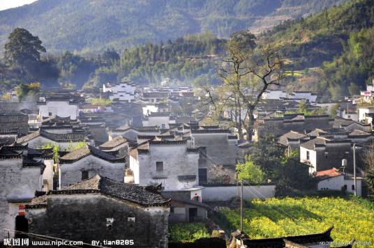 坡上村（贵州六盘水市盘县四格乡坡上村）