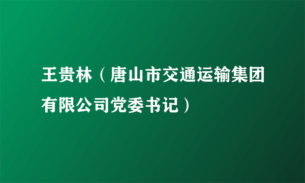 王贵林（唐山市交通运输集团有限公司党委书记）