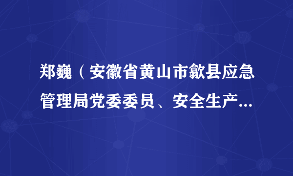 郑巍（安徽省黄山市歙县应急管理局党委委员、安全生产监督管理二室主任）