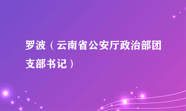 罗波（云南省公安厅政治部团支部书记）