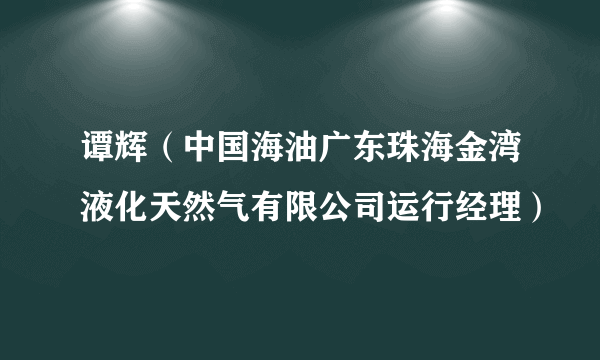 谭辉（中国海油广东珠海金湾液化天然气有限公司运行经理）