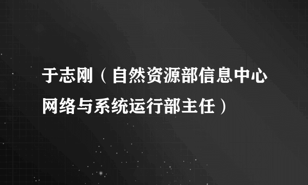 于志刚（自然资源部信息中心网络与系统运行部主任）