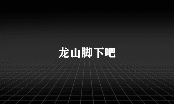 龙山脚下吧