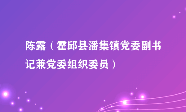 陈露（霍邱县潘集镇党委副书记兼党委组织委员）