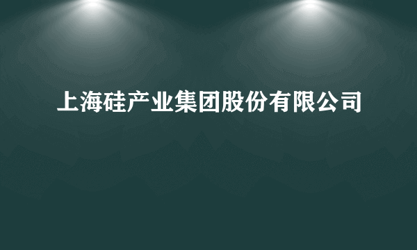 上海硅产业集团股份有限公司