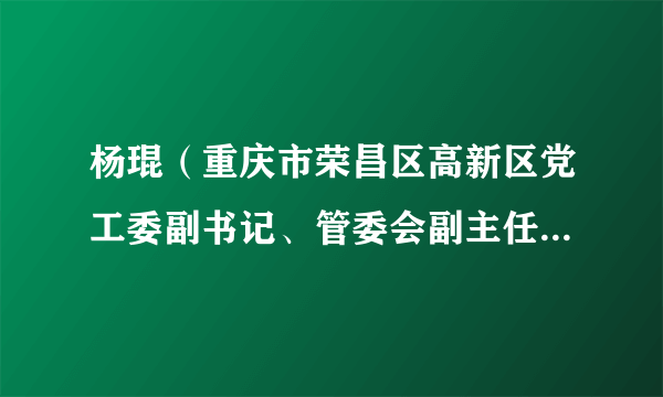 杨琨（重庆市荣昌区高新区党工委副书记、管委会副主任（正处级））