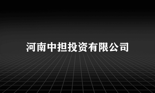 河南中担投资有限公司