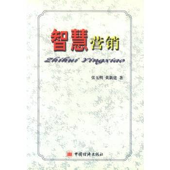 智慧营销（2002年中国经济出版社出版的图书）