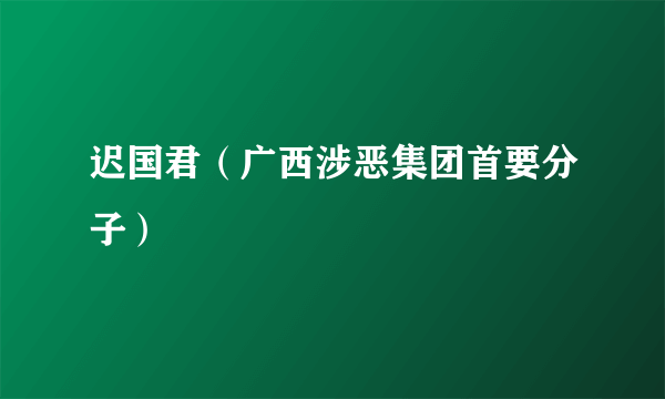 迟国君（广西涉恶集团首要分子）