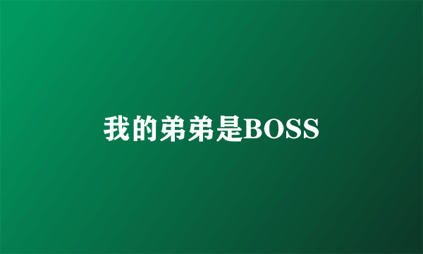 我的弟弟是BOSS