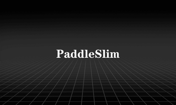 PaddleSlim