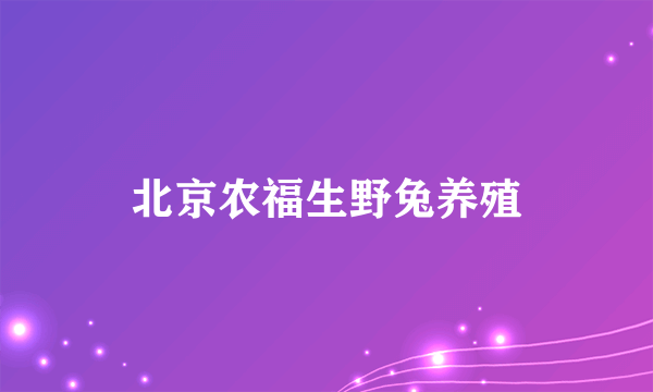 北京农福生野兔养殖