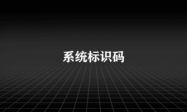 系统标识码