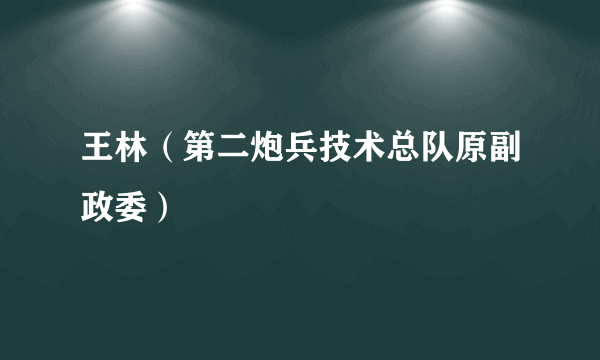 王林（第二炮兵技术总队原副政委）