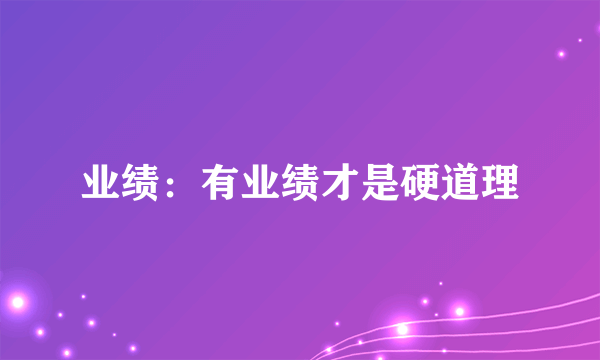 业绩：有业绩才是硬道理