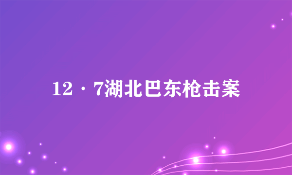 12·7湖北巴东枪击案