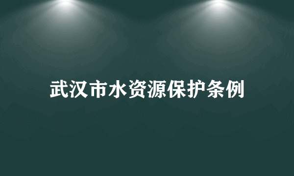 武汉市水资源保护条例