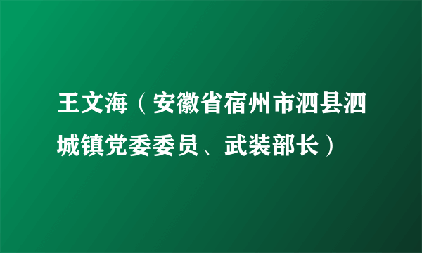 王文海（安徽省宿州市泗县泗城镇党委委员、武装部长）