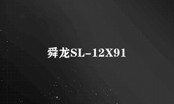 舜龙SL-12X91