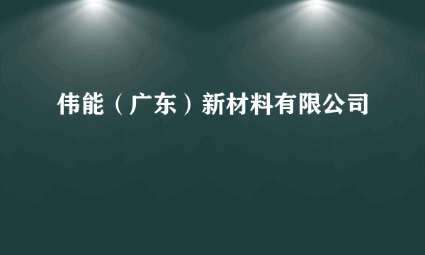 伟能（广东）新材料有限公司