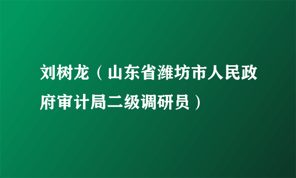 刘树龙（山东省潍坊市人民政府审计局二级调研员）