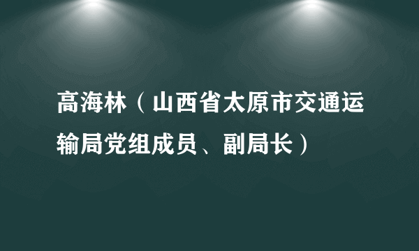 高海林（山西省太原市交通运输局党组成员、副局长）